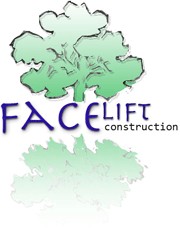 Facelift Construction 529522 Image 6